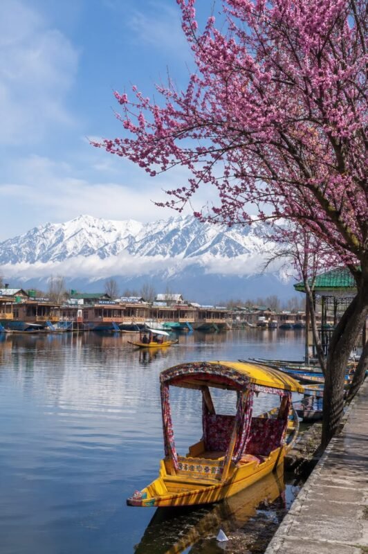 Kashmir Homepage