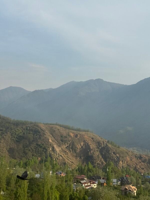 Kashmir