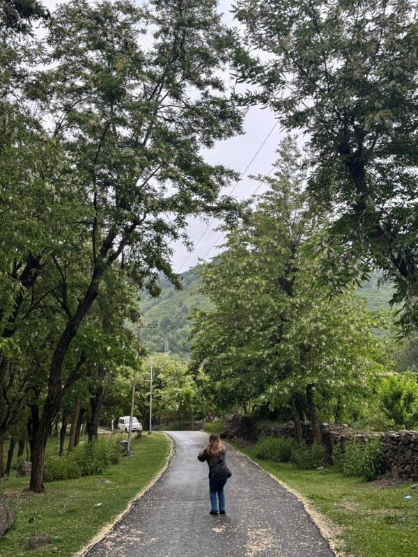 Kashmir