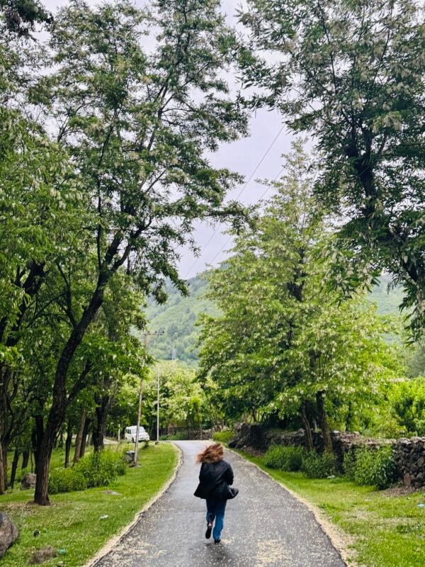 Kashmir