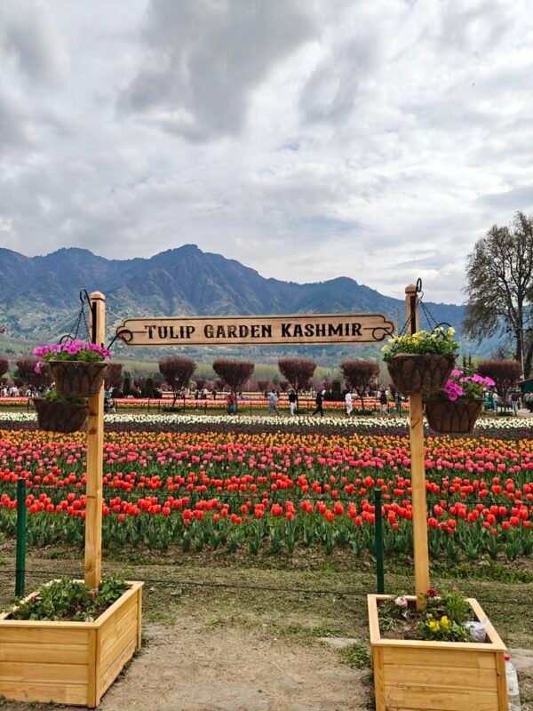 Kashmir Homepage