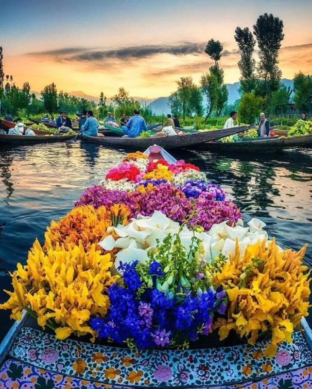 Kashmir Homepage